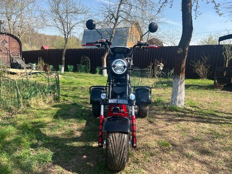 2023 White Siberia Pro Trike, чёрный, 150000 рублей, вид 3