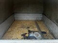 2002 LADA (ВАЗ) ВИС 2345, пурпурный, 250000 рублей - вид 1