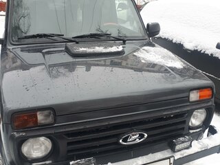2021 Lada (ВАЗ) 2121 (4x4) I Рестайлинг (2020), серый, 800000 рублей, вид 1