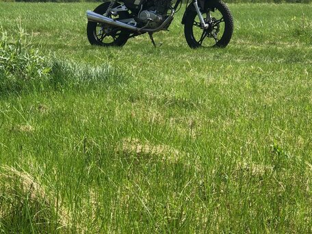 2024 Regulmoto SK200, чёрный, 115000 рублей, вид 2