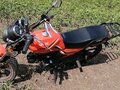 2025 VMC (Vento) Riva II, оранжевый, 65000 рублей - вид 11