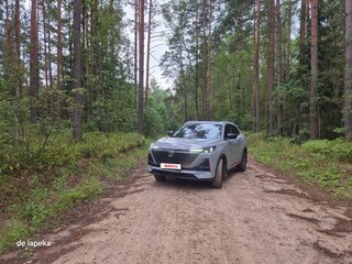 2023 Changan CS55 Plus II, серый, 2225000 рублей, вид 5