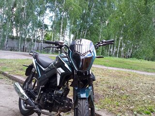 2025 Motoland Alpha, зелёный, 70000 рублей, вид 2