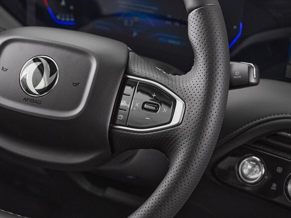 2025 Dongfeng Huge, белый, 2800000 рублей - вид 12