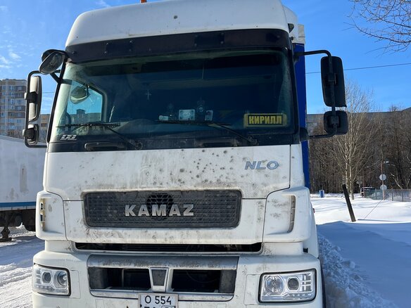 2020 КамАЗ 5490, белый, 2200000 рублей - вид 6