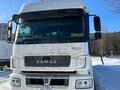 2020 КамАЗ 5490, белый, 2200000 рублей - вид 6