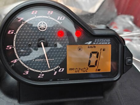 2006 Yamaha VK Professional, серебристый, 1250000 рублей, вид 2