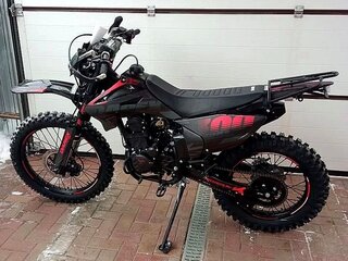 2025 Darex Alga 300, чёрный, 149900 рублей, вид 1