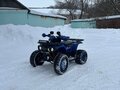 2022 Avantis Hunter 8, синий, 75000 рублей - вид 9