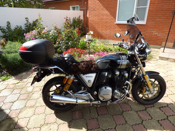 2017 Honda CB 1100, чёрный, 950000 рублей - вид 5