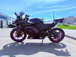 2008 Kawasaki Ninja 250R, фиолетовый, 313313 рублей, вид 5