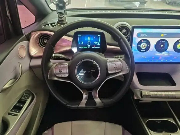 2022 BYD Dolphin 44.9 kWh I, розовый - вид 7