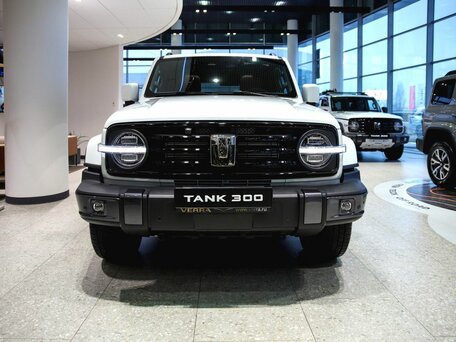 Tank 300 I