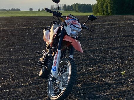 2023 Racer Panther, оранжевый, 85000 рублей, вид 1