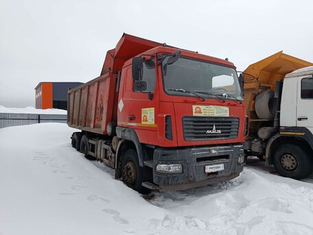 2019 МАЗ 6501, красный, 1811350 рублей, вид 2