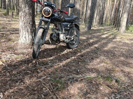 2023 Racer Trophy, чёрный, 35000 рублей, вид 3