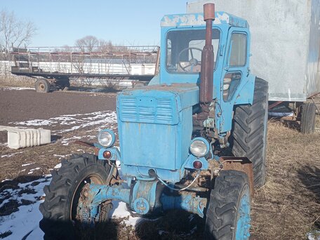1982 ЛТЗ Т-40АМ, синий, 260000 рублей, вид 1