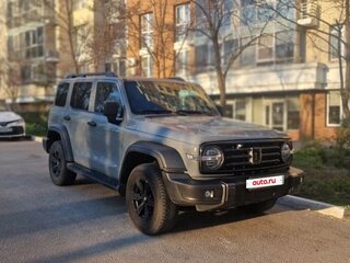 2023 Tank 300 I, серый, 2750000 рублей, вид 1