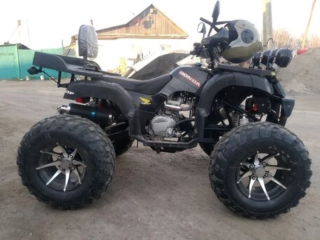 2021 Tiger Max Grade 300, чёрный, 210000 рублей, вид 3