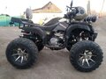 2021 Tiger Max Grade 300, чёрный, 210000 рублей - вид 2