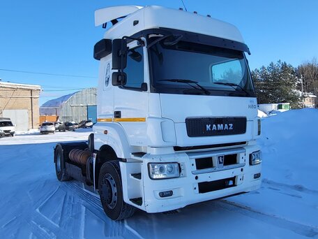 2019 КамАЗ 5490 NEO, белый, 1800000 рублей, вид 2