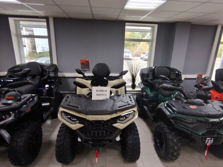 2026 Loncin XWolf 1000, бежевый, 1164000 рублей, вид 3