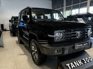 2026 Tank 300 I, чёрный, 4499000 рублей, вид 2