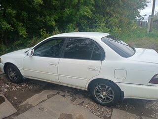 1993 Toyota Corolla VII (E100), белый, 130000 рублей, вид 3