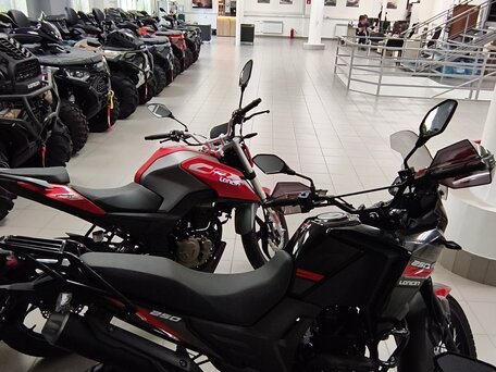 2026 Loncin MS250, чёрный, 179900 рублей, вид 4
