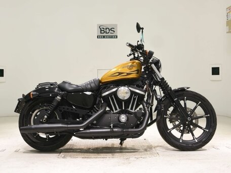 2016 Harley-Davidson Sportster 883, золотистый, 885000 рублей, вид 2