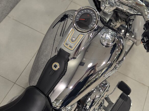 2025 Harley-Davidson Fat Boy, серебристый, 5500000 рублей - вид 8