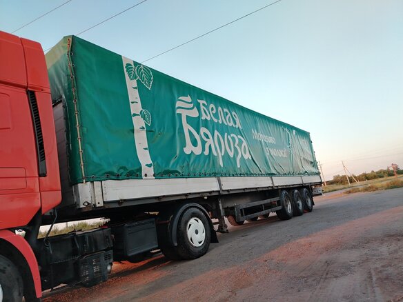 1998 Schmitz Cargobull SPR, серебристый - вид 11
