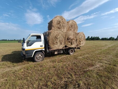2006 BAW Fenix 1044, белый, 500000 рублей, вид 5