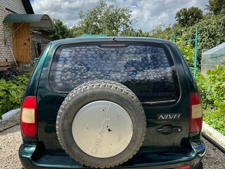 2003 Chevrolet Niva I, зелёный, 400000 рублей, вид 5
