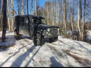 1995 УАЗ 31514, зелёный, 250000 рублей, вид 4
