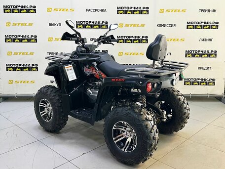 2025 Bison Hammer 250 PRO, чёрный, 252990 рублей, вид 3