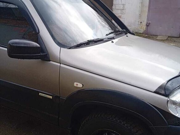 2015 Chevrolet Niva I Рестайлинг, серый, 650000 рублей - вид 11