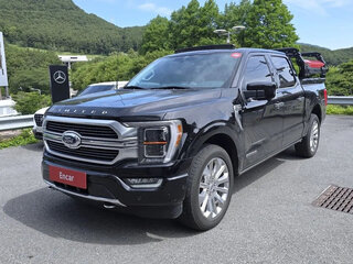 2022 Ford F-150 XIV, чёрный, 7200000 рублей, вид 1