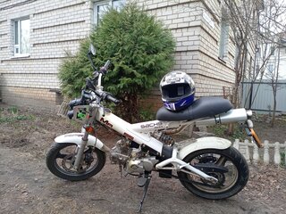 Sachs MadAss