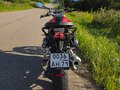 2017 BMW R 1200 R, красный, 888000 рублей - вид 4