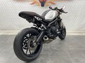 2014 Yamaha XSR900, чёрный, 545000 рублей - вид 6