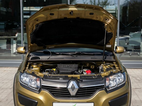 2015 Renault Sandero Stepway II, зелёный - вид 23