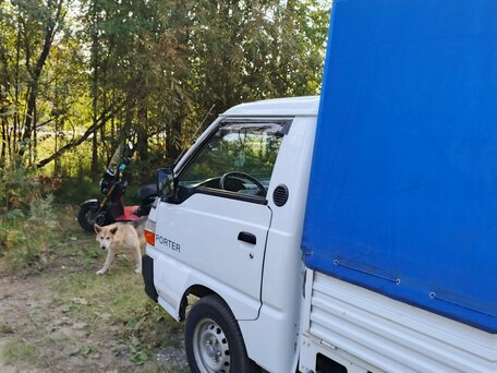 2006 Hyundai Porter, белый, 850000 рублей, вид 2