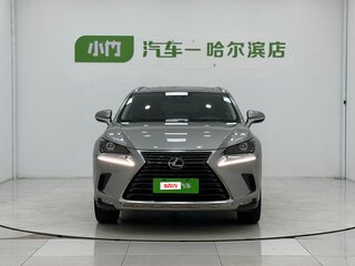 2021 Lexus NX 200 I Рестайлинг, бежевый, 3490000 рублей, вид 5