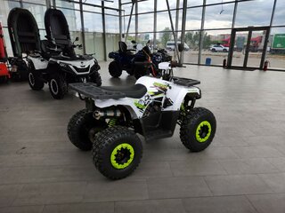 2026 Другие Мотовездеходы (другие), белый, 109700 рублей, вид 4