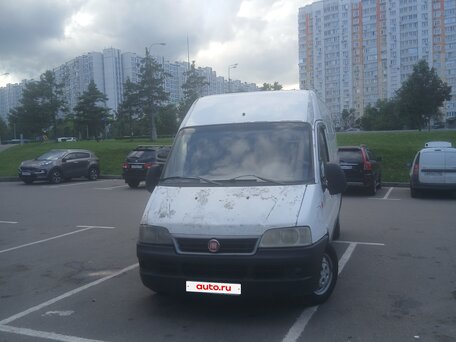 2010 Fiat Professional Ducato, белый, 400000 рублей, вид 1