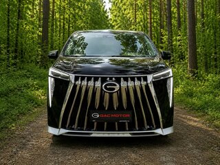 2024 GAC M8, чёрный, 6499999 рублей, вид 3