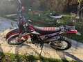 2026 White Siberia Muxa, красный, 115000 рублей - вид 2