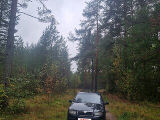 2006 Skoda Fabia I Рестайлинг, чёрный, 225000 рублей, вид 1
