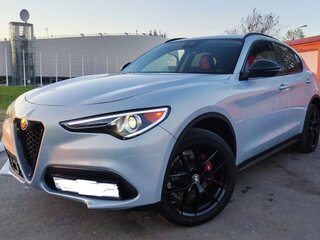 2020 Alfa Romeo Stelvio I Рестайлинг, серебристый, 2800000 рублей, вид 1
